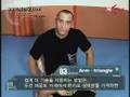 Mixed Martial Arts techniques revealed!