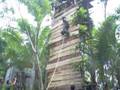 UPV ROTC Camp Visit 08 (rapelling)