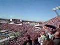 Flyover-at-halftime-