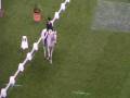 videos de Express Eventing - Bettina Hoy and Ringwood Cockatoo.wmv