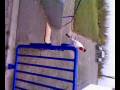 videos de Adrian on Brettskating