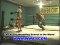WWA4 Wrestling move Springboard Back Elbow