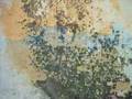 videos de Colours and Textures of the Greek Islands