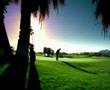 submitted by webmaster on Wed Oct 22 2008 at 11:58pm
