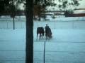 videos de Stormy day