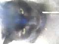 videos de LSW - Licky's SoundWorld - Music Video