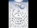 Evolution and Religion