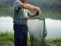 Carp fishing, carp 13.5 kg