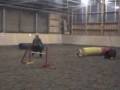 videos de Training Uschi mit Blizz, 21.12.08