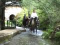FOLGOSO MEDIEVAL
