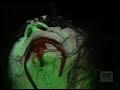 gene simmons spitting blood in farewell tour