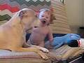 title="Doggy