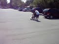 Heeling Pitbull w/WheelChair (Beyond The Leash)