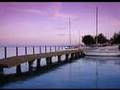 HuMSIRC presents SCOPE 2008 in Hungary: