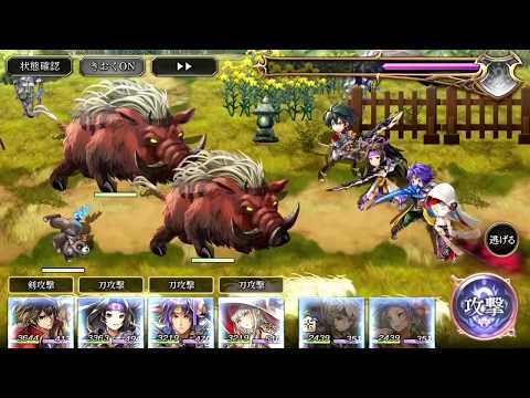 動画