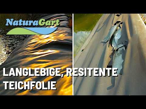 Teichsanierung Teil 1 - Bewertung der Teichfolie