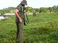 Sequência de tiros com calibre 12