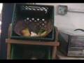 Tyee Store