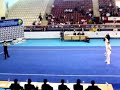 13TH EUROPEAN WUSHU CHAMPIONSHIPS Antalya Turkey 2010 (12).