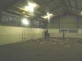 videos de Camillas new Pony Sergant Pepper