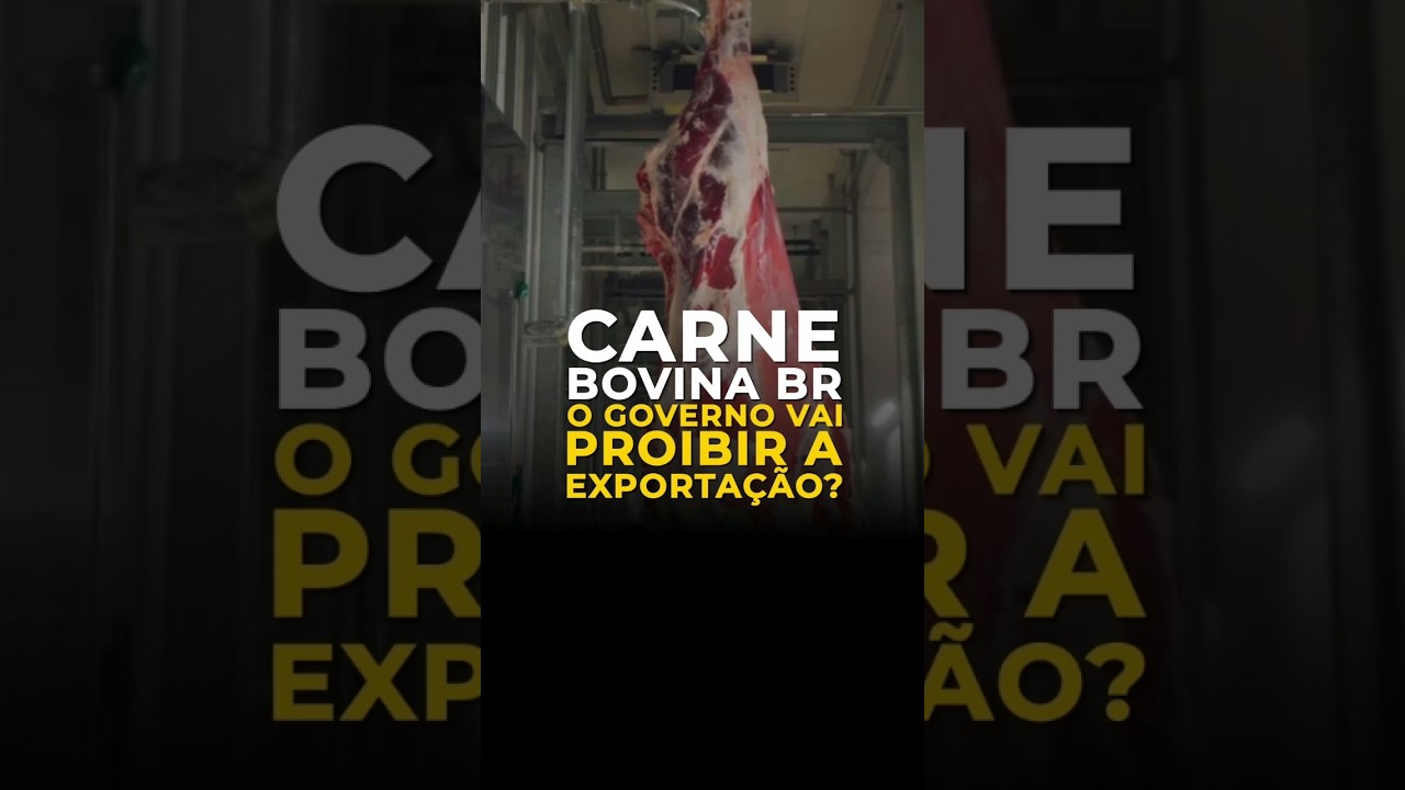 Carne Bovina Br: O Governo Vai Proibir A Exportação?