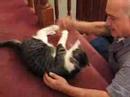Dad playing with Cooper