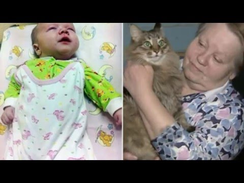 how to treat kitten with a cold