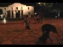 SEALS Ministryz- Deuce gettin BUCK at The Alamo