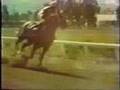 Herb Alpert & the TJB Tijuana Taxi Original Video 1965