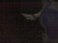 VID 00054.3GP