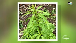 عينك ميزانك : الإثنين 24 نونبر 2025