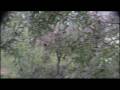 Sullivan Ridge Bottom   Horse Trail   HD