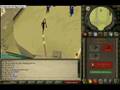 rang3 twin k's dbowing