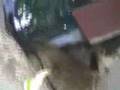 1018 Fiske Rats #1