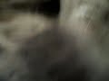 Boiling Water Vs. Dry Ice.AVI