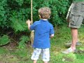 Tree Swing Tree Swing
