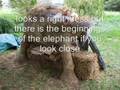 The Concrete Elephant