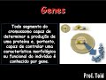 Gen�tica: Fundamentos B�sicos da Gen�tica 01 (Prof. Toid)