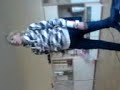 Aerobic Bei K to the risten