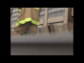 Reed Nolan - Grass Fire