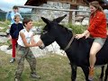 Asina con la mamma dei somarelli