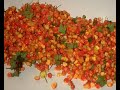 d�part pour saint pierre et miquelon