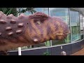 www.vancesova.com ankylosaurus dinosaur shown in this video can be viewed in live size at dino park praha in prague, czech republic. ankylosaurus means 