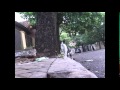Cosas de gatos