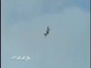 F22 Raptor Show - High Speed Version F22 Raptor Show - High Speed Version