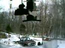 Chickadees Chickadees