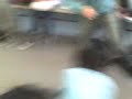 melee
