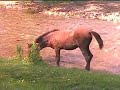 this is the very first video i'm posting. i took that during a 5 min. car stop.