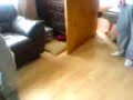 i decided (after some convincing) to taser myself