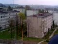 gogikolek widok rabka